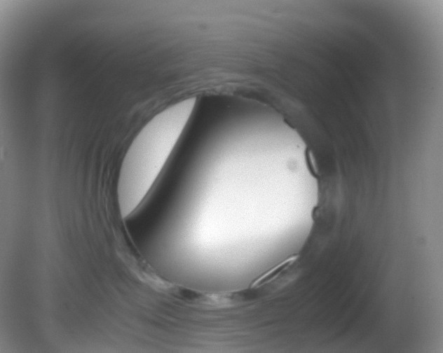 X0000082690623200701260956