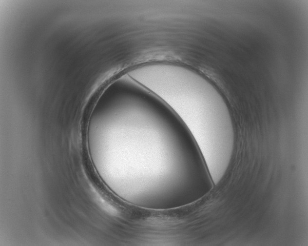 X0000082690630200701260955