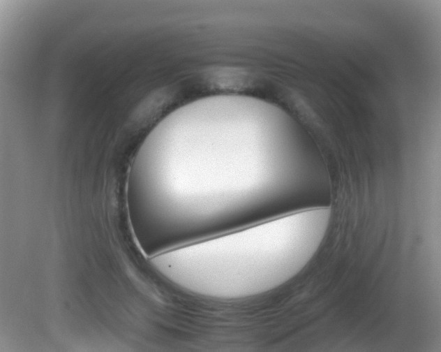 X0000082690639200701260955