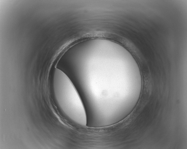 X0000082690674200701260955