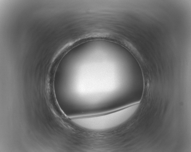 X0000082690676200701260955