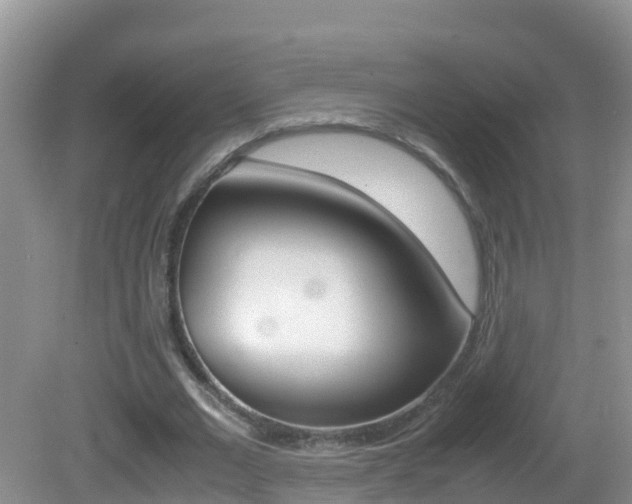 X0000082690677200701260955