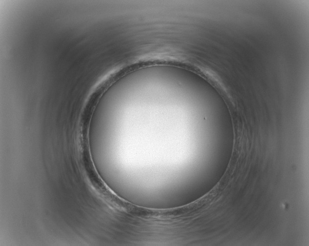 X0000082690680200701260955