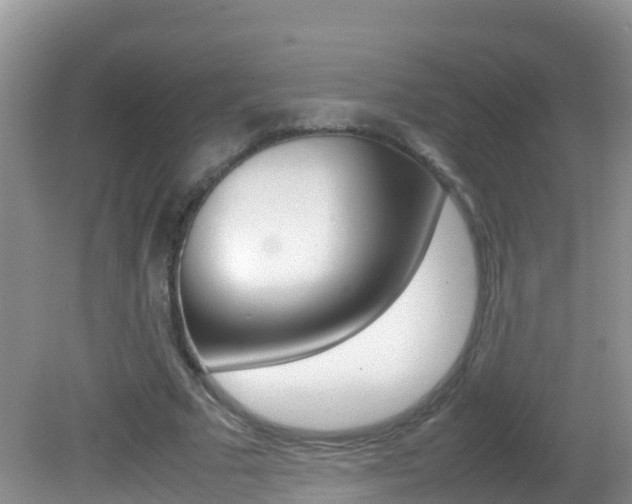 X0000082690681200701260955
