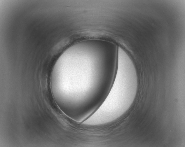 X0000082690685200701260955