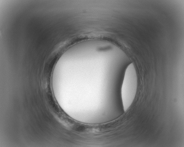 X0000082690687200701260955