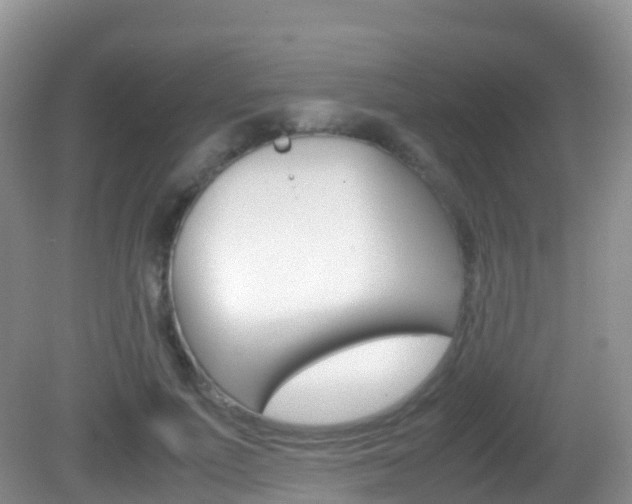 X0000082690691200701260955