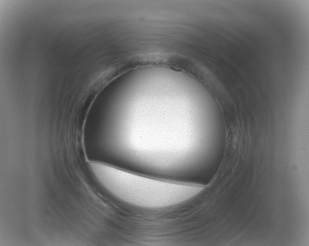 X0000082690692200701260955