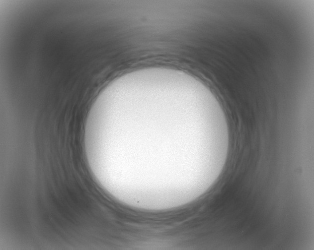 X0000082690701200701260955
