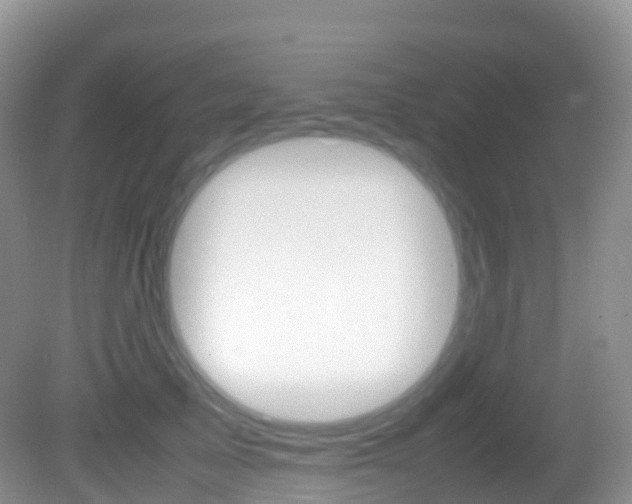 X0000082690705200701260955
