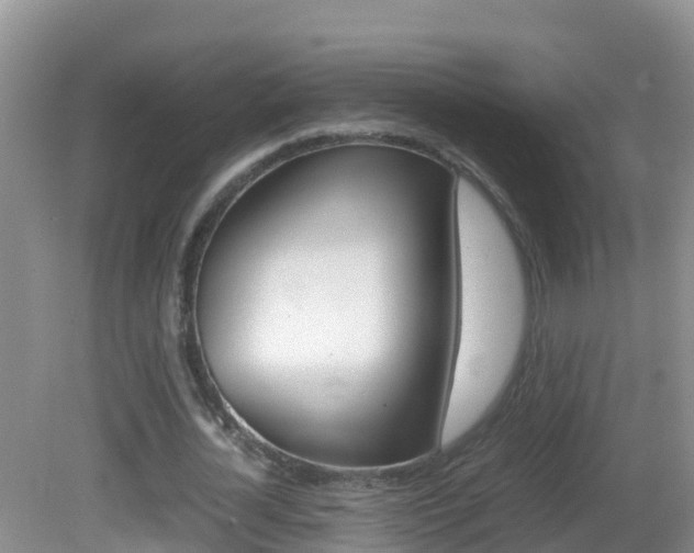 X0000082690724200701260954