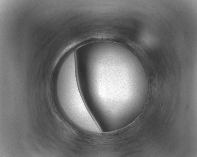 X0000082690727200701260954