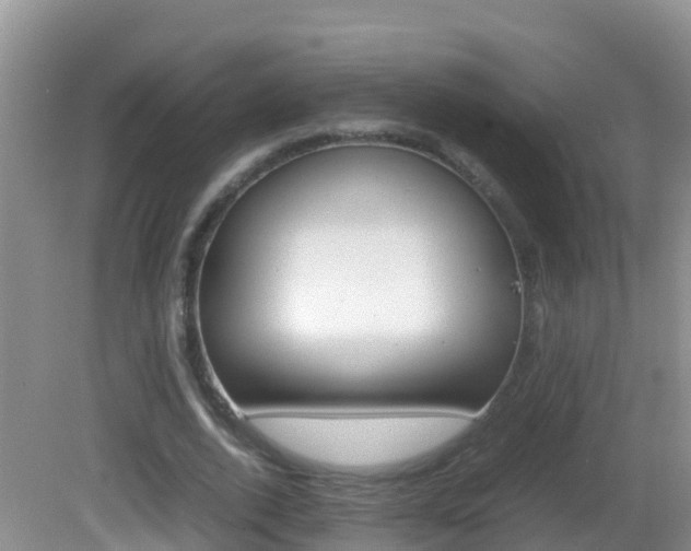 X0000082690728200701260954