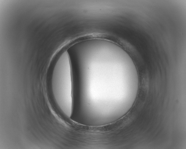 X0000082690730200701260954