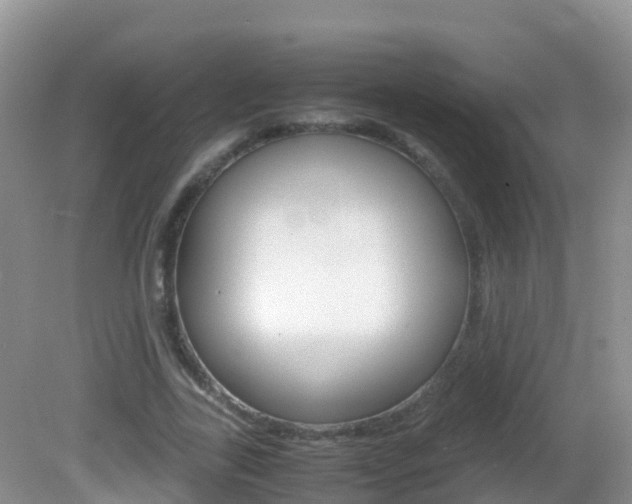 X0000082690731200701260954