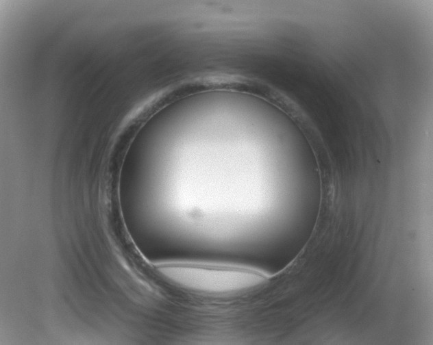 X0000082690732200701260954