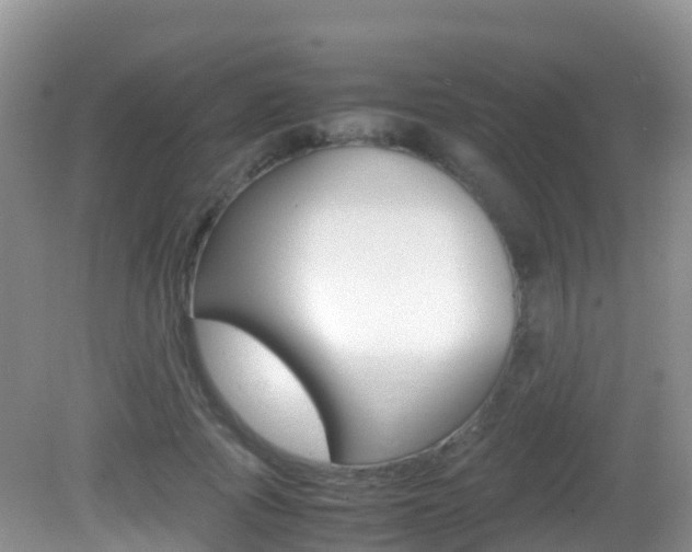 X0000082690737200701260954