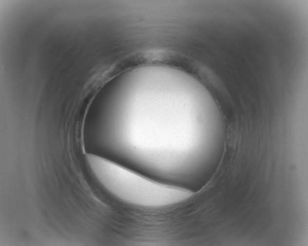 X0000082690740200701260954