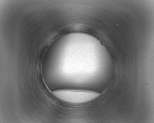 X0000082690746200701260954
