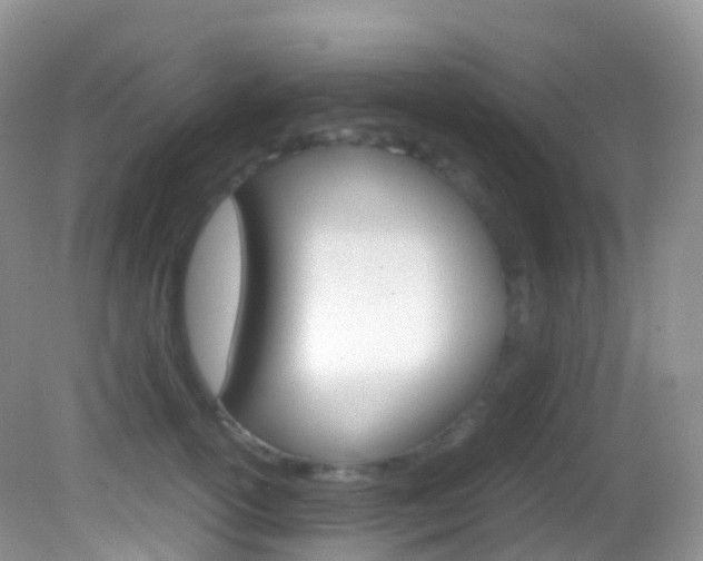 X0000082690754200701260954