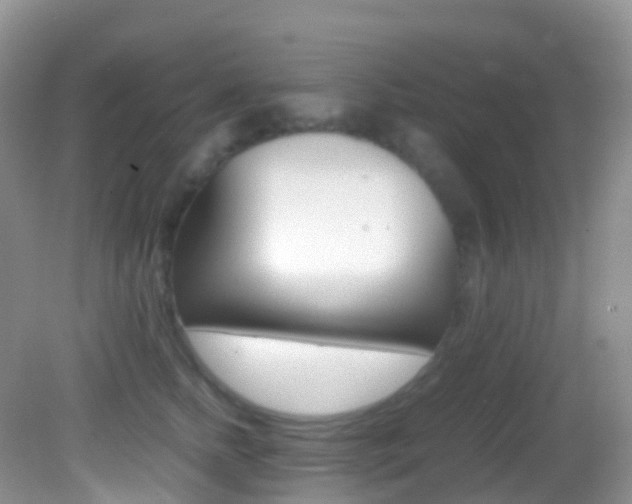 X0000082690758200701260954