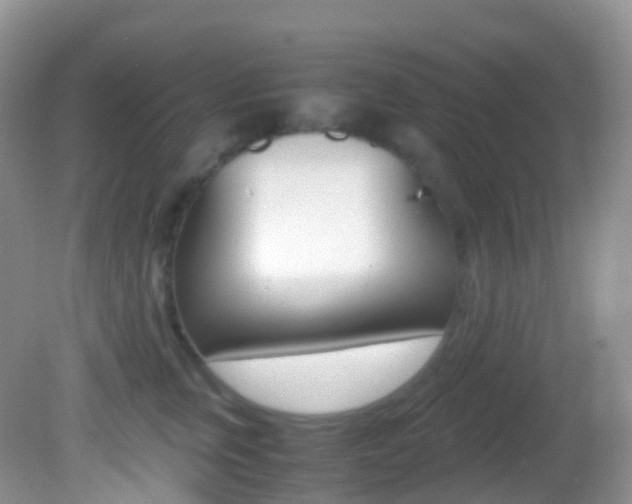 X0000082690759200701260954