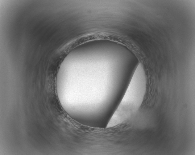 X0000082690773200701260953