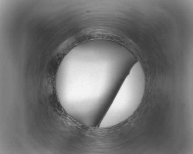 X0000082690774200701260953