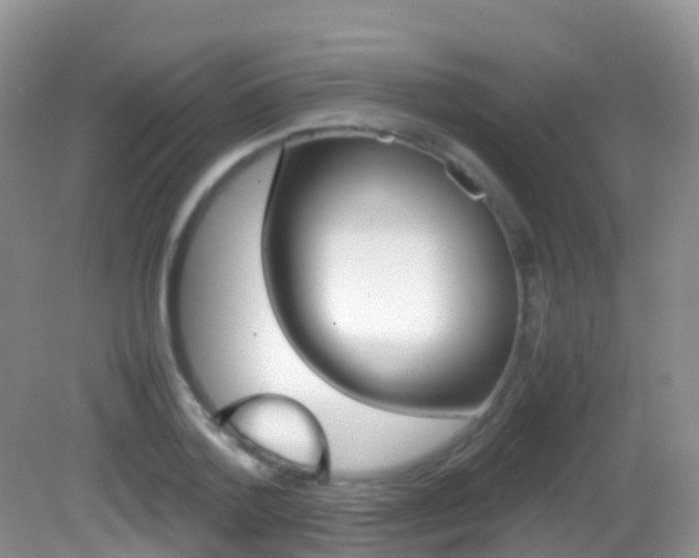 X0000082690788200701260953