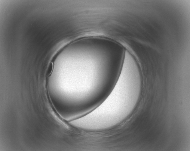 X0000082690797200701260953