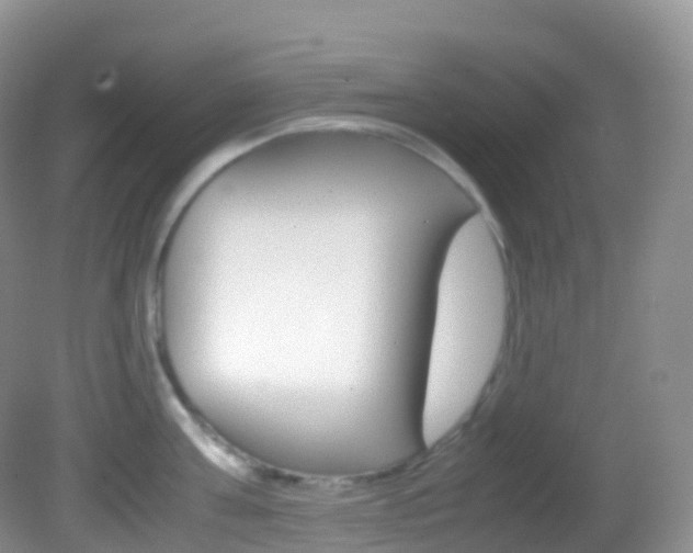 X0000082690811200701260953