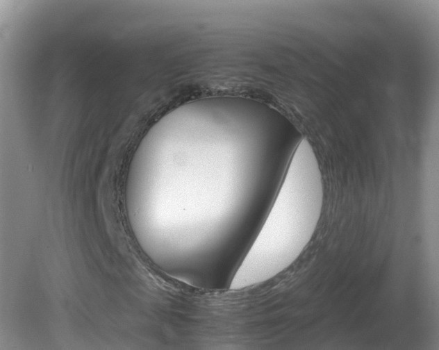 X0000082690817200701260952