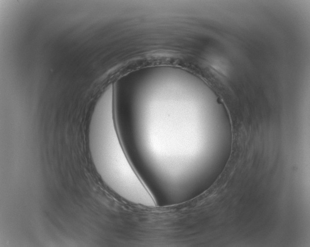 X0000082690821200701260952