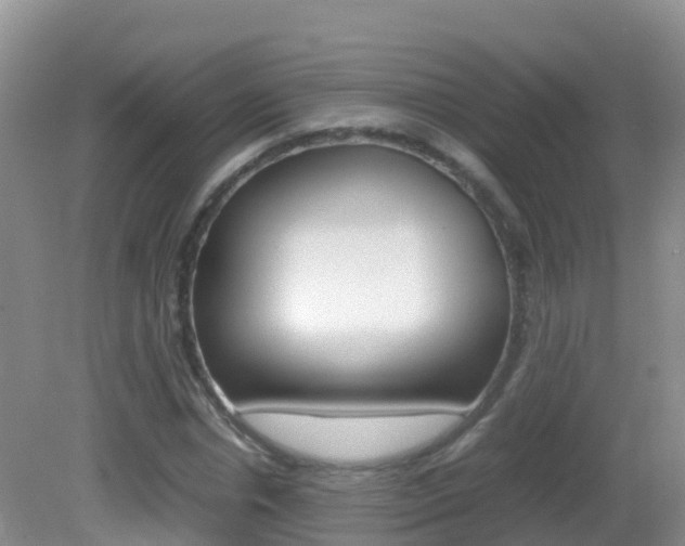 X0000082690826200701260952