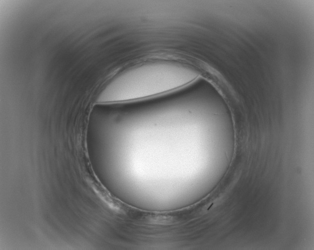 X0000082690833200701260952