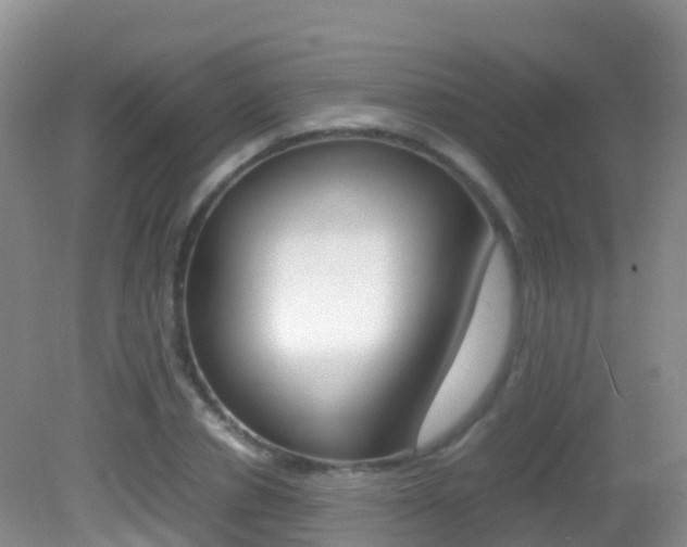 X0000082690834200701260952