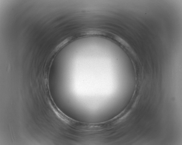 X0000082690841200701260952