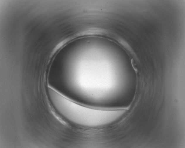 X0000082690842200701260952