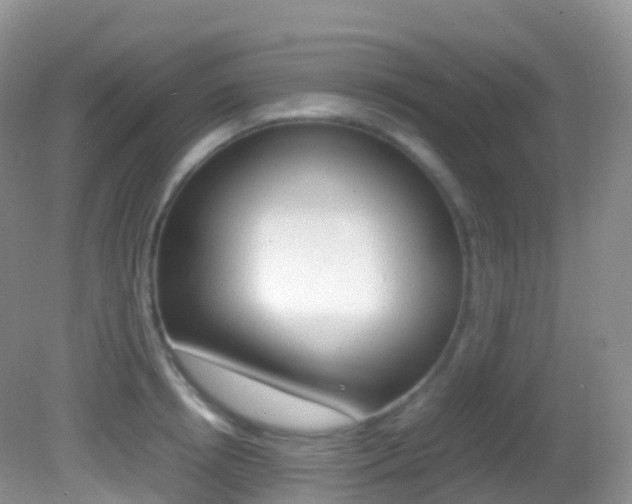 X0000082690850200701260952