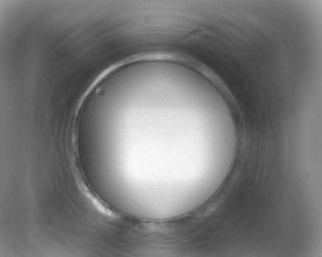 X0000082690852200701260953