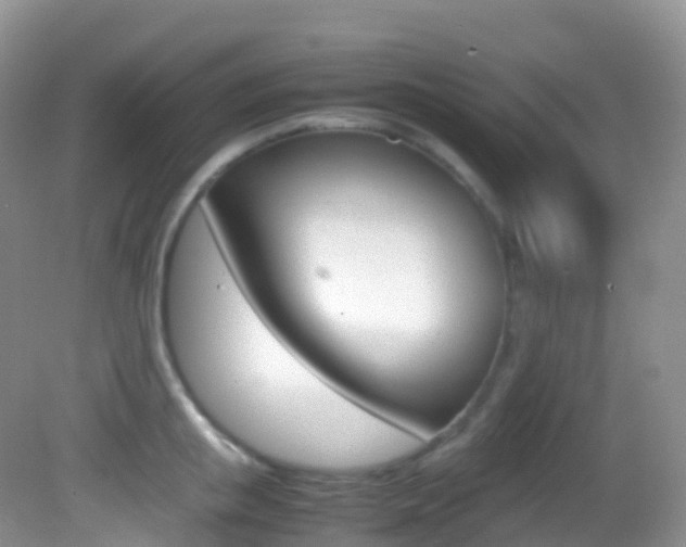 X0000082690853200701260953