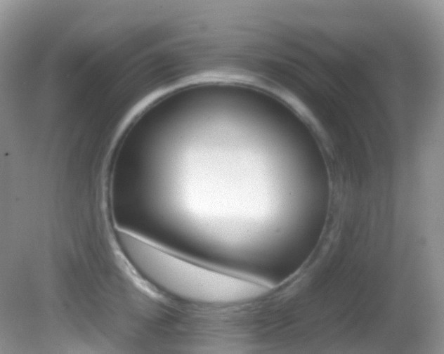 X0000082690854200701260953