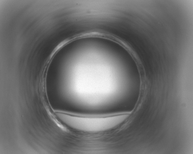 X0000082690858200701260953