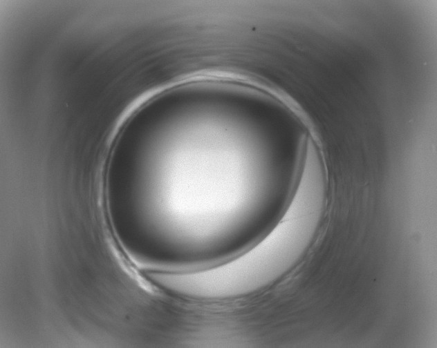 X0000082690862200701260953