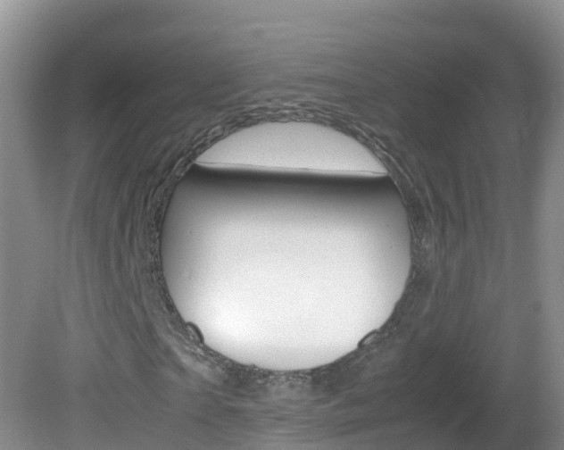 X0000082690865200701260952