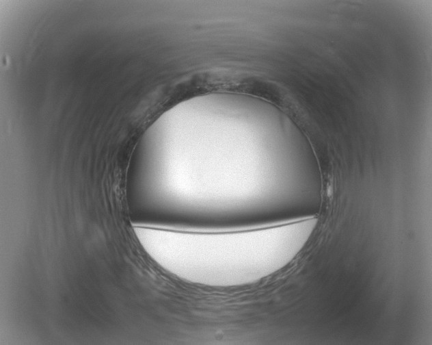 X0000082690867200701260952