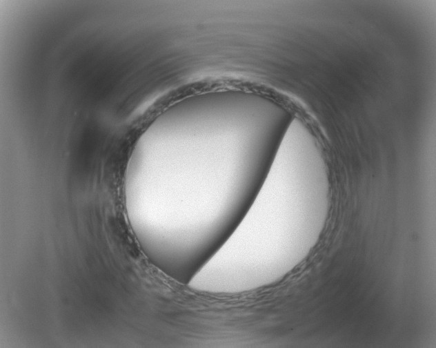 X0000082690871200701260952