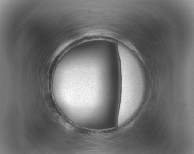 X0000082690877200701260952