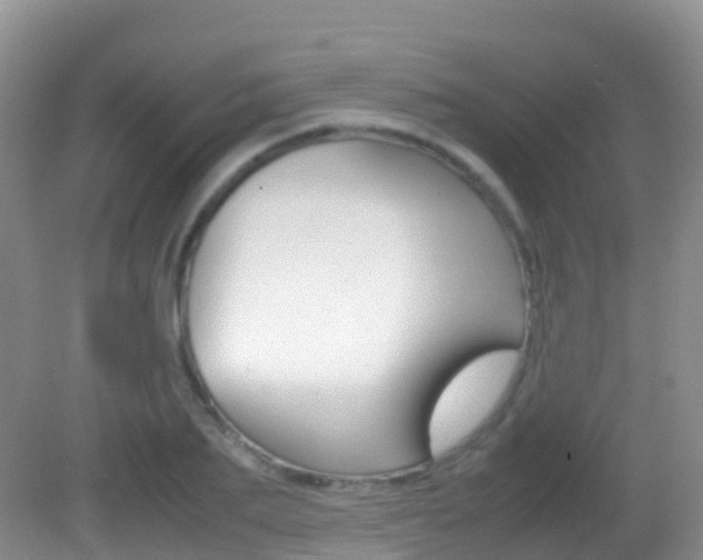 X0000082690887200701260952