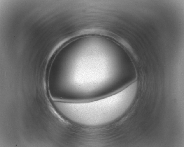 X0000082690888200701260952